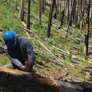 Meet your Posher, Matt